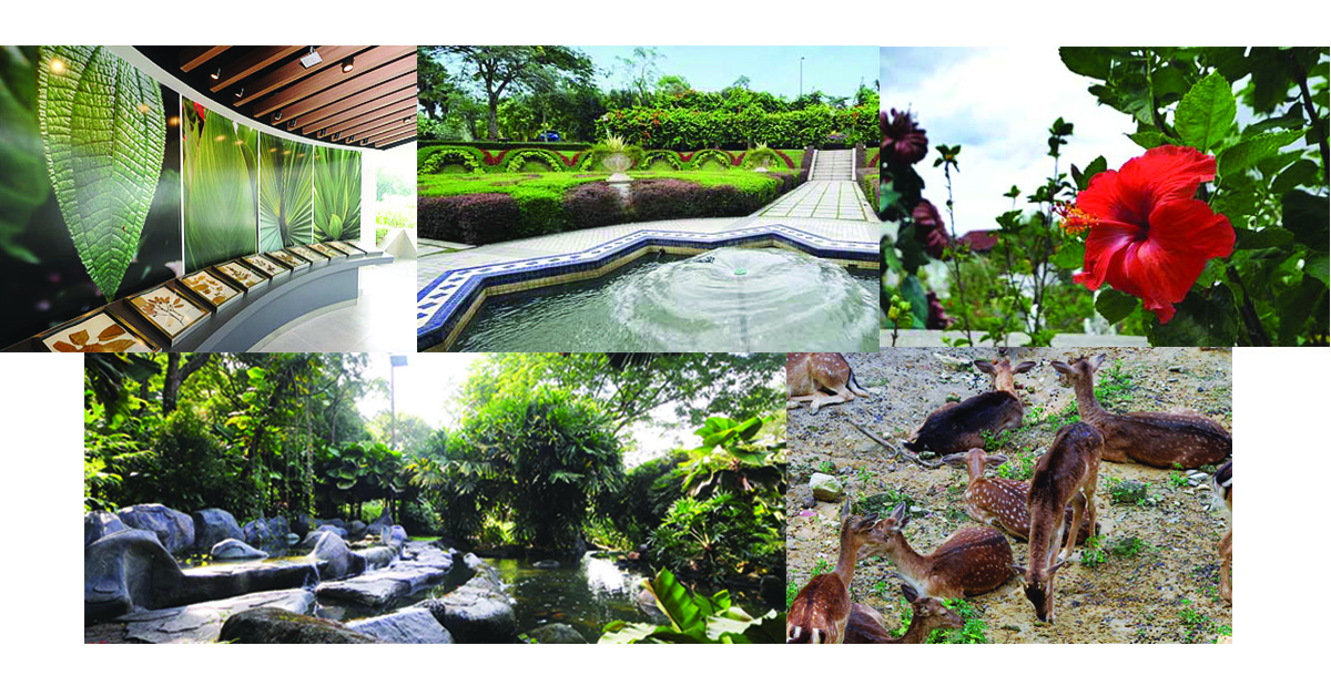 雪隆区免费游玩的4个景点：湖滨公园Perdana Botanical Garden 